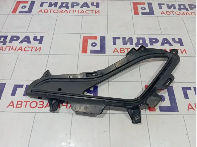 Рамка противотуманной фары левой Hyundai Elantra 865273X700