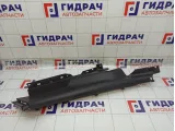 Обшивка стойки задней правой нижняя Hyundai Elantra 858953X000RY