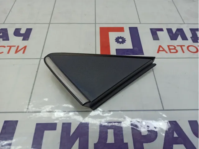 Накладка крыла заднего правого Hyundai Elantra 878203X600