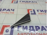 Накладка крыла Hyundai Elantra 861803X600