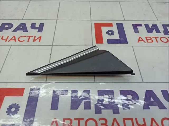 Накладка крыла Hyundai Elantra 861903X600