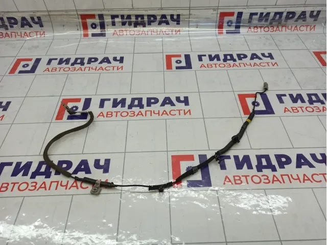 Проводка антенны Hyundai Elantra 962203X011