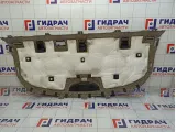 Полка (шторка) задняя Hyundai Elantra 856103X530RY