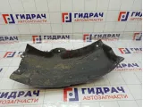 Локер (Подкрылок) задний левый Hyundai Elantra 868233X100