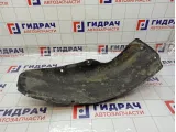 Локер (Подкрылок) задний левый Hyundai Elantra 868213X700