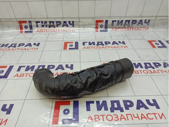 Воздухозаборник Hyundai Elantra 282103X900