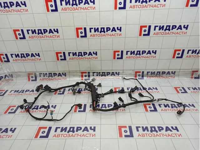 Проводка двигателя Hyundai Elantra 914353X200