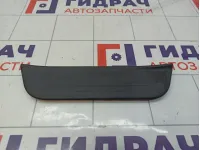 Накладка порога (внутренняя) задняя левая Hyundai Elantra (AD) 85877-F3000-TRY