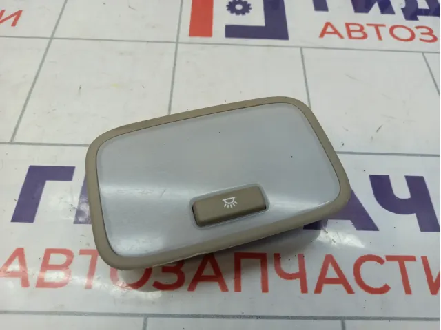 Плафон салонный Hyundai Elantra (AD) 92850-F2000-XUG