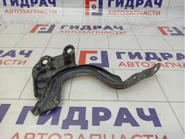 Петля капота правая Hyundai Elantra (AD) 79120-F3000