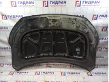 Капот Hyundai Elantra (AD) 66400-F3500