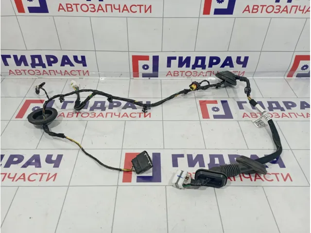 Проводка двери задней правой Hyundai Elantra (AD) 91665-F3010-AB