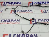 Проводка заднего бампера Hyundai Elantra (AD) 91895-F3020-AB