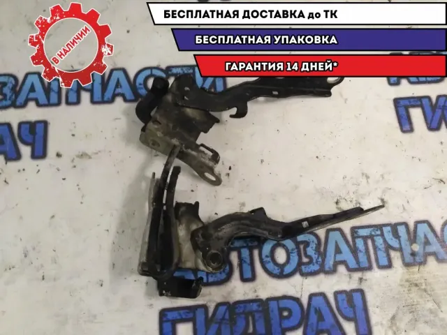 Петля капота левая Hyundai Elantra HD