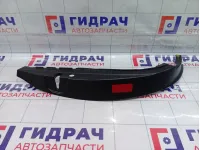 Обшивка двери передней левой Hyundai Equus (VI) 823033N000