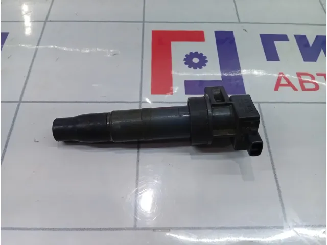 Катушка зажигания Hyundai Equus (VI) 273013C000