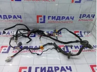 Проводка двери задней левой Hyundai Equus (VI) 916513N040