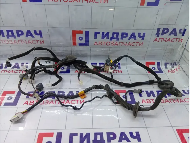 Проводка двери задней левой Hyundai Equus (VI) 916513N040