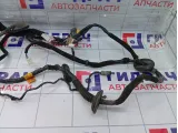 Проводка двери задней левой Hyundai Equus (VI) 916513N040