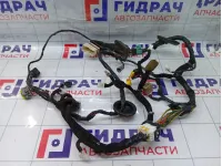 Проводка двери передней правой Hyundai Equus (VI) 916113N020