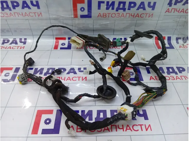 Проводка двери передней правой Hyundai Equus (VI) 916113N020