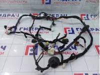 Проводка двери задней правой Hyundai Equus (VI) 916633N021