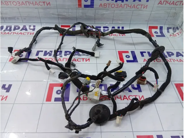 Проводка двери задней правой Hyundai Equus (VI) 916633N021