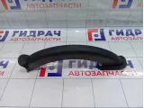 Накладка петли багажника левая Hyundai Equus (VI) 819113N000