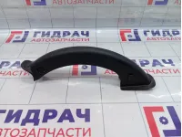 Накладка петли багажника правая Hyundai Equus (VI) 819213N000
