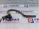 Петля багажника левая Hyundai Equus (VI) 792103N010