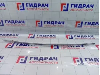 Молдинг двери (крышки) багажника Hyundai Equus (VI) 873733N020