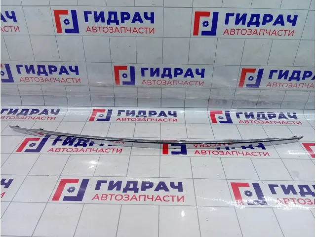 Молдинг двери (крышки) багажника Hyundai Equus (VI) 873733N020