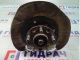 Кулак поворотный задний правый Hyundai Equus (VI) 527203T000