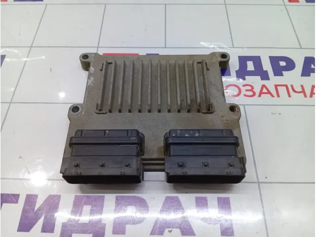 Блок управления двигателем Hyundai Equus (VI) 391073C921