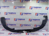 Кожух замка капота Hyundai Equus (VI) 863623N000