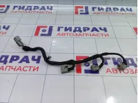 Проводка катушек зажигания правая Hyundai Equus (VI) 396103C550