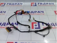 Проводка двери (крышки) багажника Hyundai Equus (VI) 916703N060