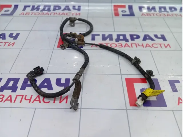 Проводка датчика abs переднего правого Hyundai Equus (VI) 598303M000