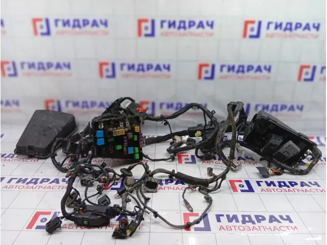 Проводка двигателя Hyundai Equus (VI) 912203N290