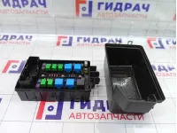 Блок предохранителей Hyundai Equus (VI) 919503M173