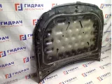 Капот Hyundai Equus (VI) 664003N001