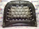 Капот Hyundai Equus (VI) 664003N001