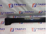 Накладка порога левая Hyundai Equus (VI) 877513N100AF