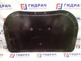 Шумоизоляция капота Hyundai Equus (VI) 811253N000