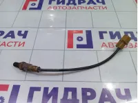 Датчик кислородный/Lambdasonde верхний Hyundai Equus (VI) 0258986507