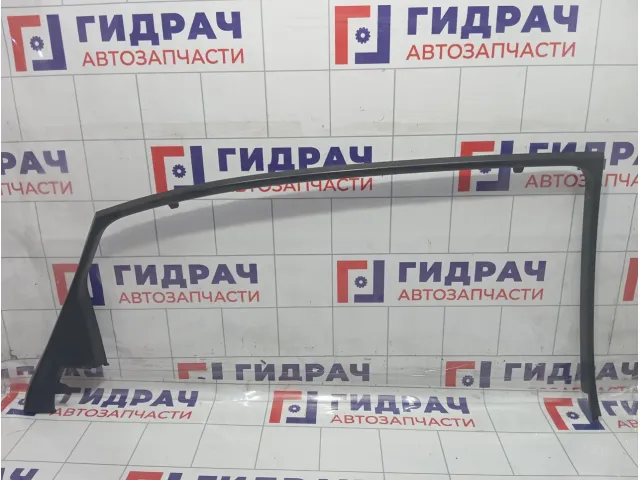 Накладка двери задней левой верхняя Hyundai Equus (VI) 839103N010