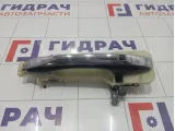 Ручка двери наружная левая Hyundai Equus (VI) 836523N000