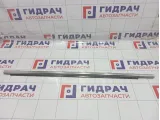 Молдинг стекла двери передней правой Hyundai Equus (VI) 822203N010