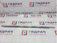 Молдинг стекла двери передней правой Hyundai Equus (VI) 822203N010