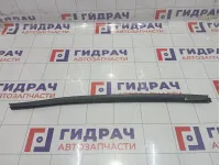 Уплотнитель стекла передний левый Hyundai Equus (VI) 822313N000